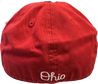 back of Ohio State Buckeye Franchise Fitted Hat