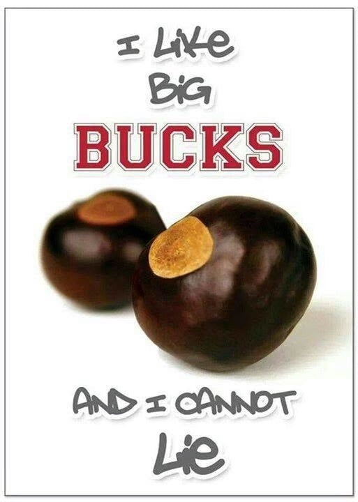 A novelty sign or poster featuring the text 'I LIKE BIG BUCKS AND I CANNOT Lie' in stylized gray and red lettering, with two glossy brown chestnuts on a white background.
