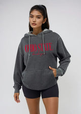 OHIO STATE BUCKEYES CHARCOAL BURNOUT EVERYBODY HOODIE