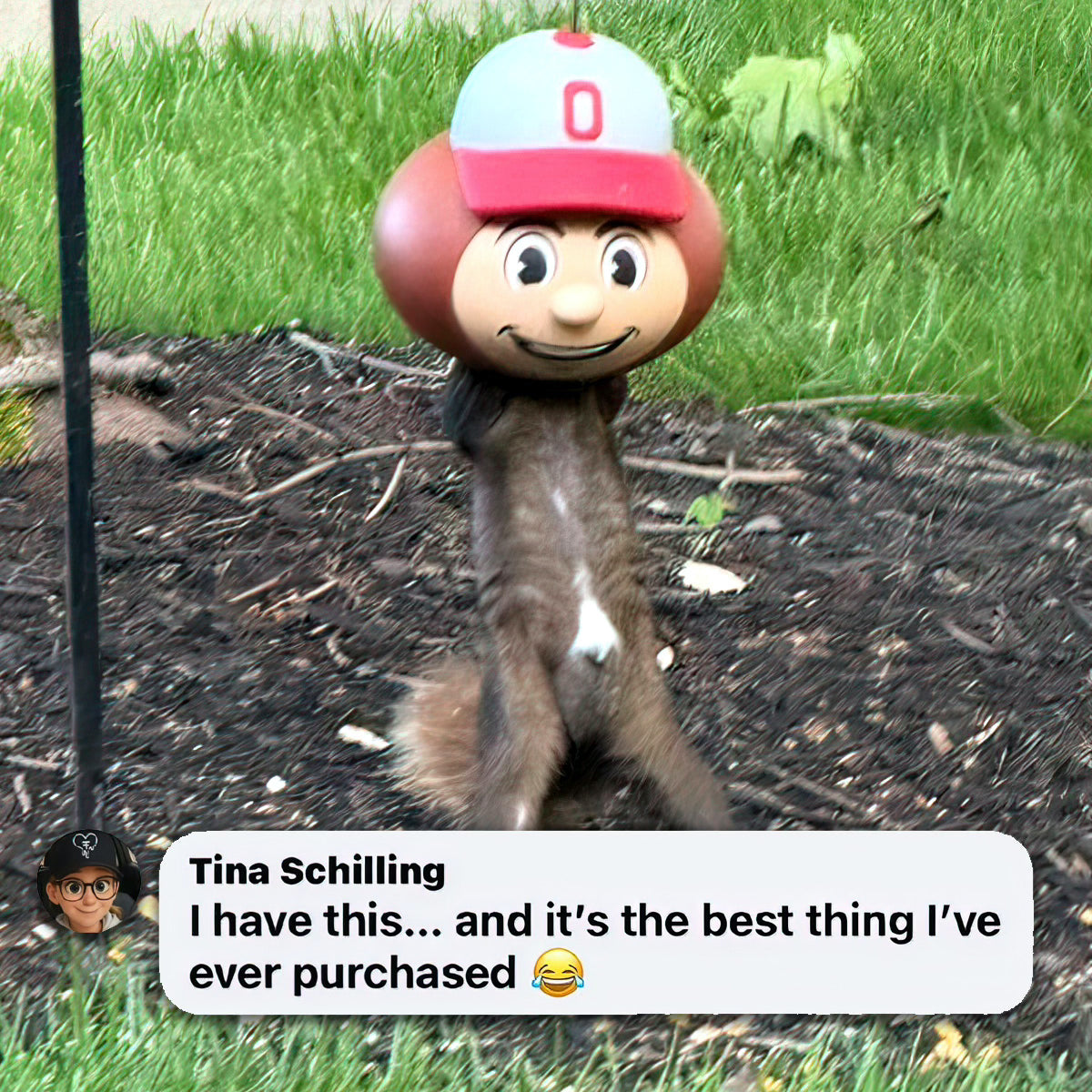BRUTUS BUCKEYE SQUIRREL FEEDER – GET NUTS, GO BUCKS!