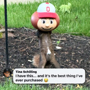 BRUTUS BUCKEYE SQUIRREL FEEDER – GET NUTS, GO BUCKS!