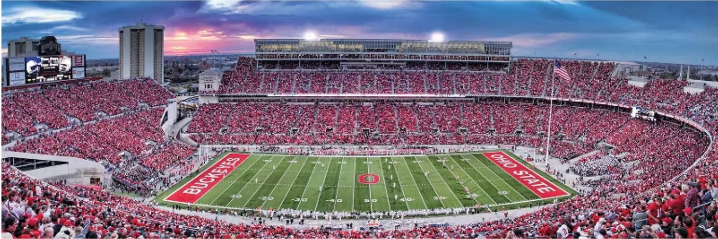 closeup puzzle, the shoe, ohio state university
