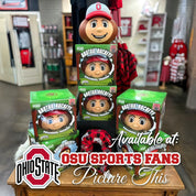 in store Brutus Buckeye Squirrel Feeder