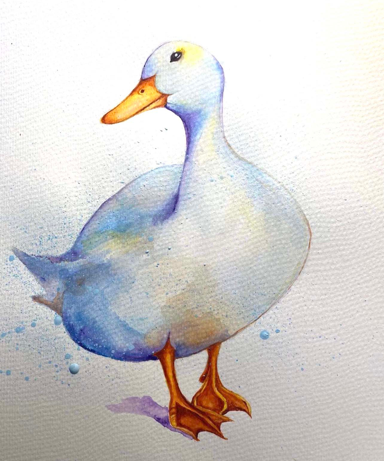ACRYLIC PRINT, WHITE DUCK