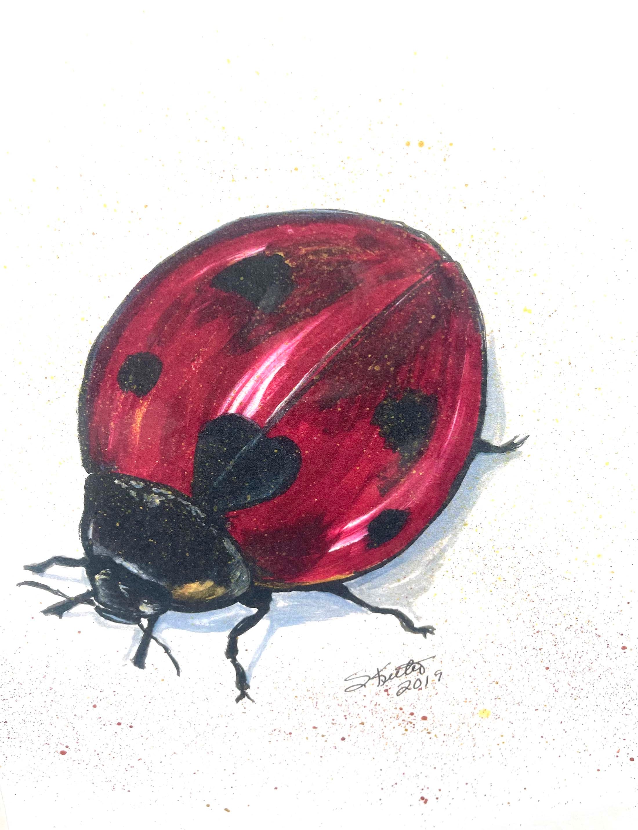 ACRYLIC PRINT, LADYBUG AND GOOD FORTUNE