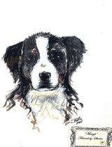 MOWGLI BY "SKEETER"