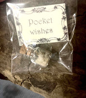 DANDYLION IN A JAR FOR WISHES TO KEEP OR PASS ALONG