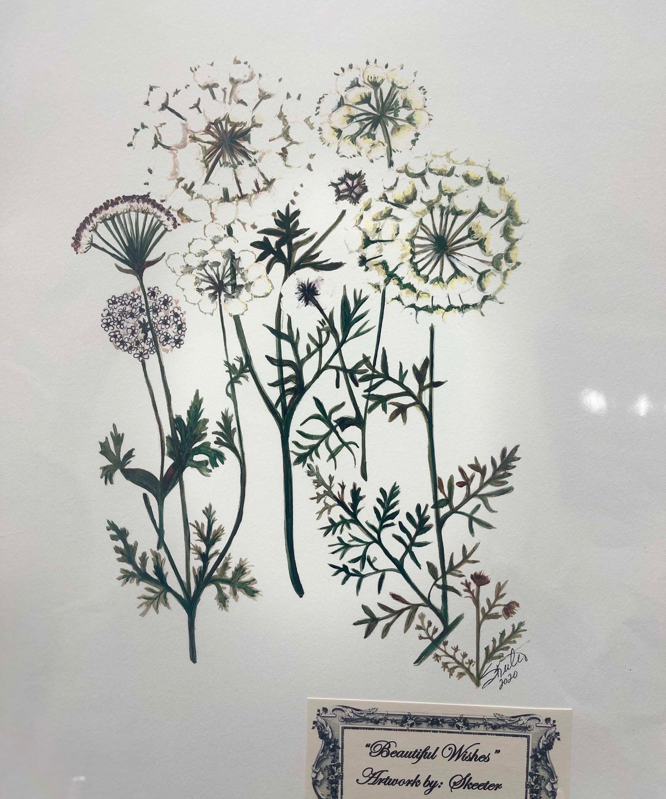 watercolor, wildflowers, stems