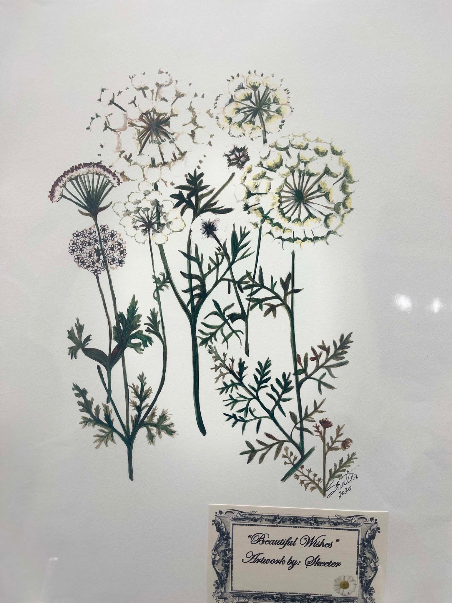 watercolor, wildflowers, stems