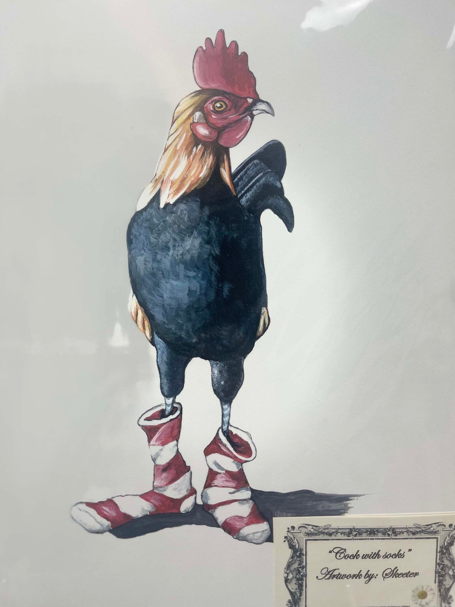 watercolor, rooster, wearing red and white stripe socks