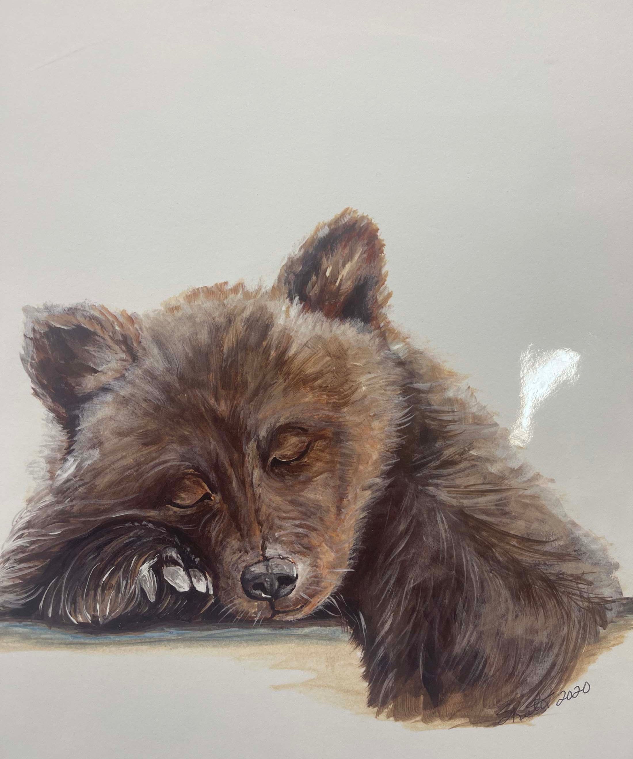 watercolor, baby bear sleeping
