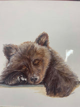 BALOO BY "SKEETER"