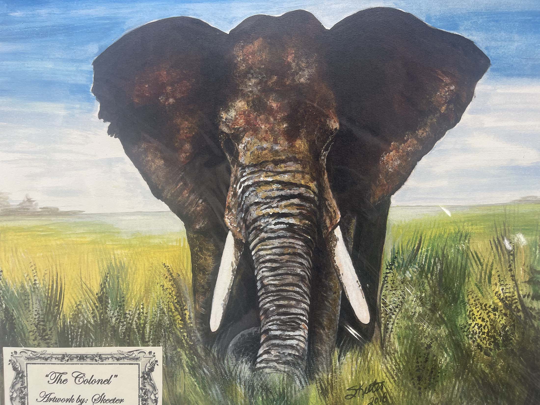 watercolor, elephant